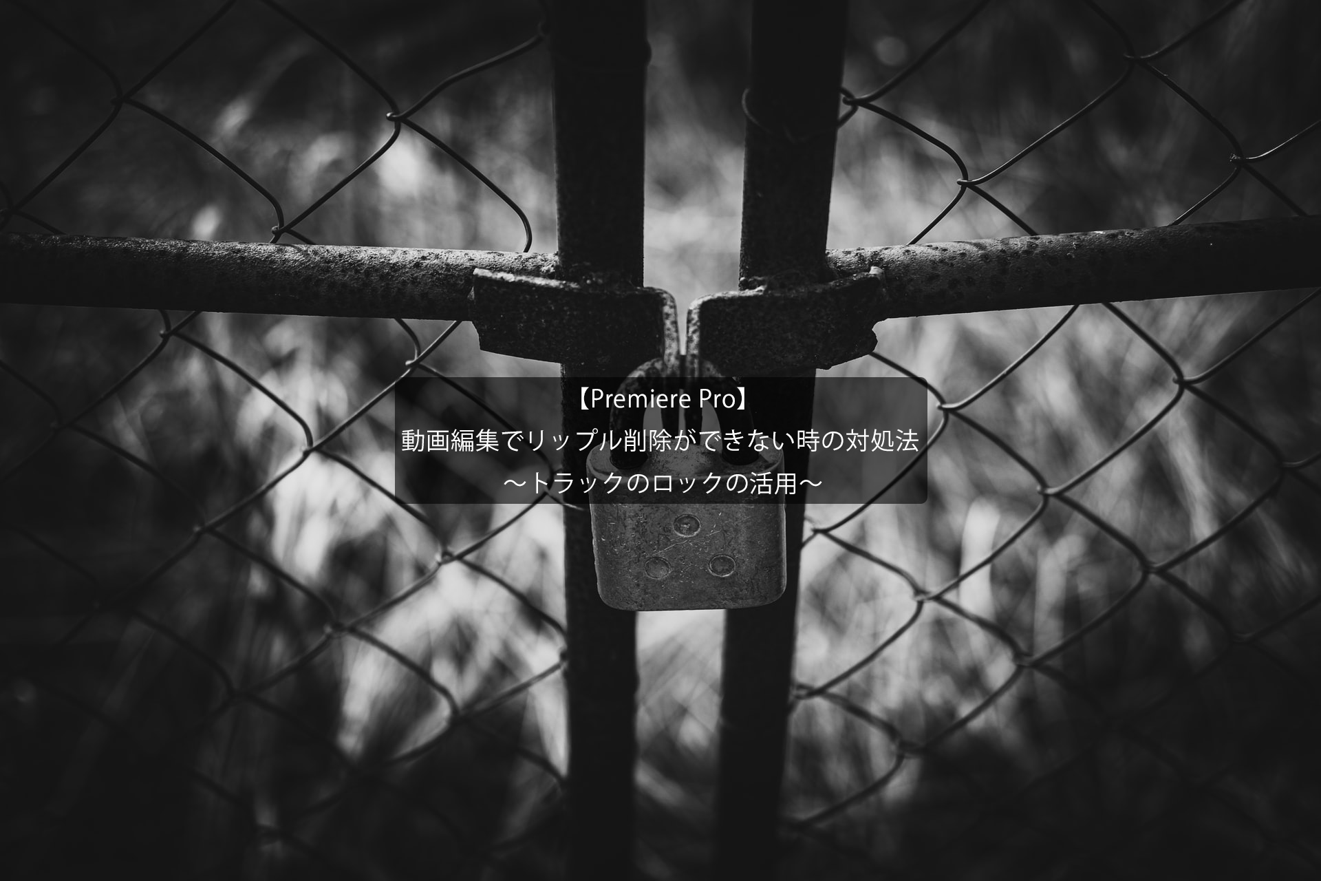 Premiere Pro】動画編集でリップル削除ができない時の対処法 ～トラックのロックの活用～｜MiniMets
